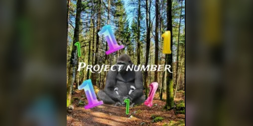 Cover image for Project number reborn