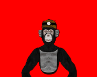 Cover image for Big Scary ZZY