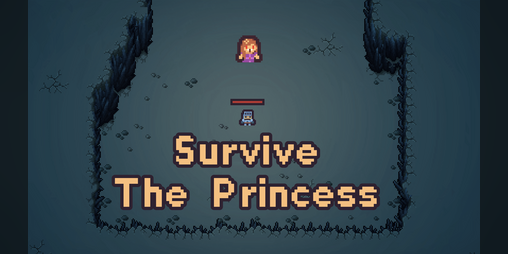 Cover image for Survive The Princess