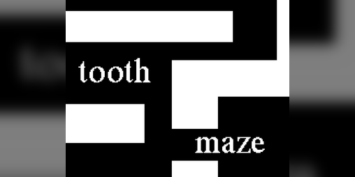 Cover image for tooth maze
