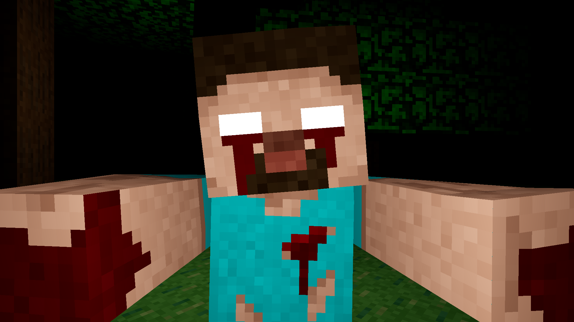 Cover image for Herobrine's Island