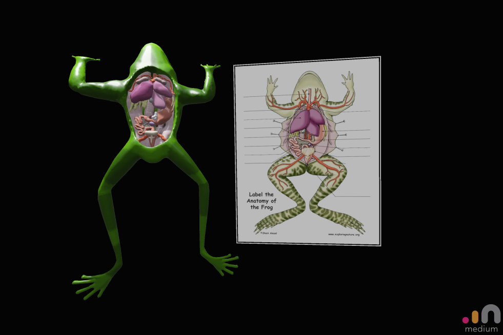 SimKit: Frog Dissection (VR)