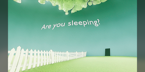 Cover image for Are you sleeping?