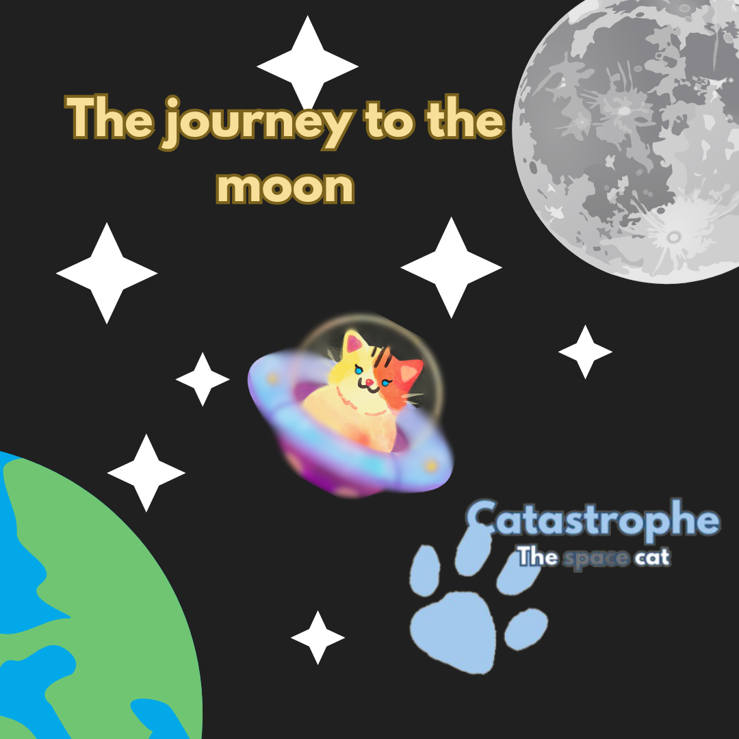Cover image for Catastrophe