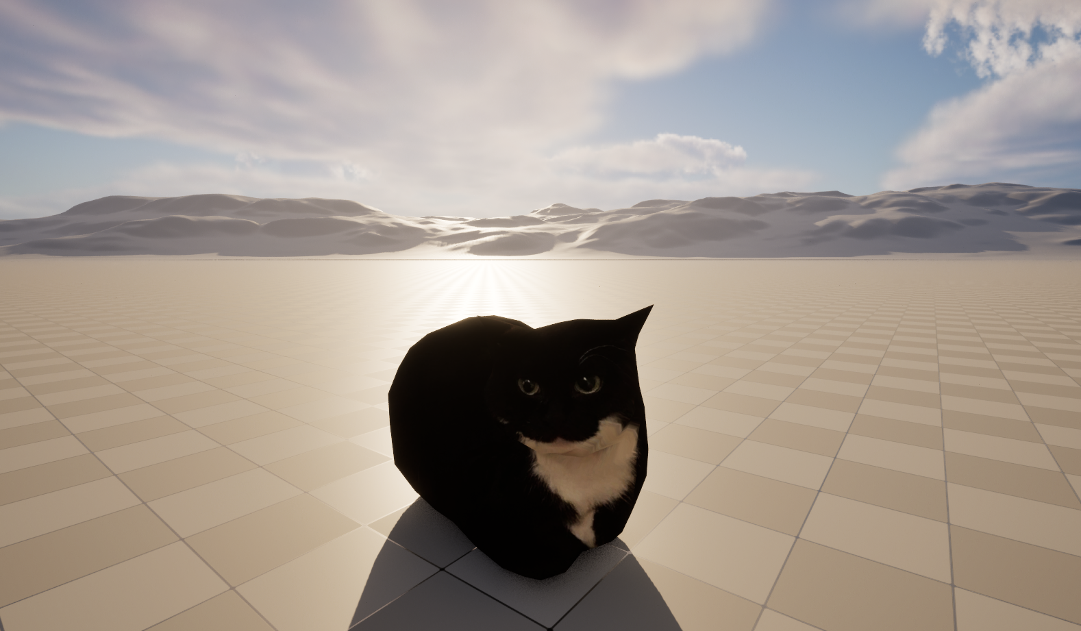 Cat Performance Test by Mewtindew Cat
