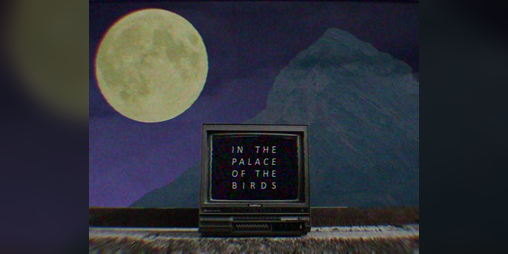 Cover image for In the Palace of the Birds