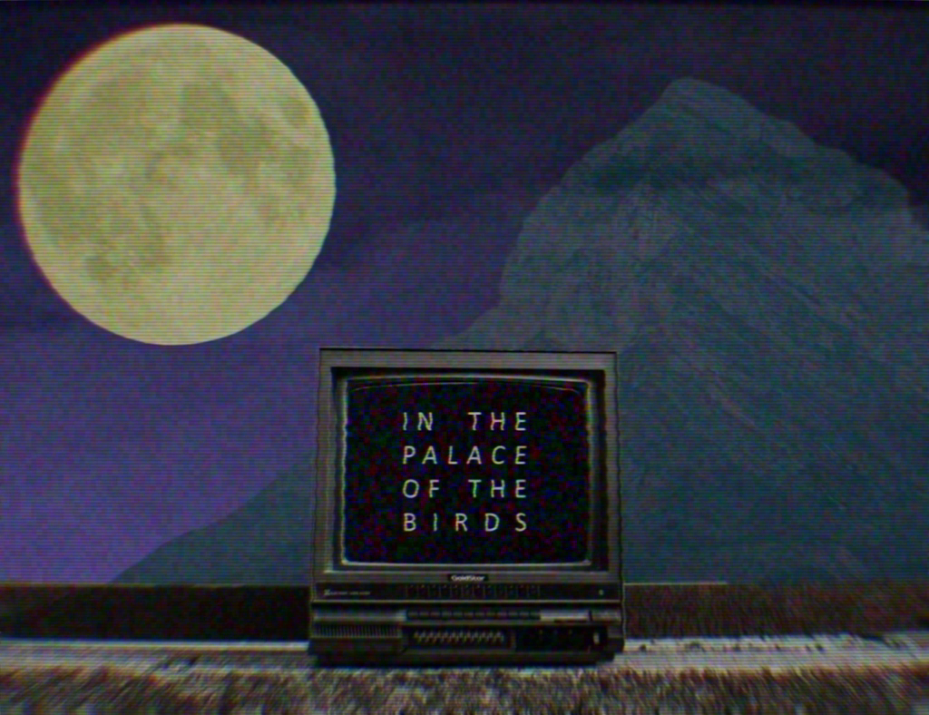 Cover image for In the Palace of the Birds