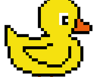Enten Run