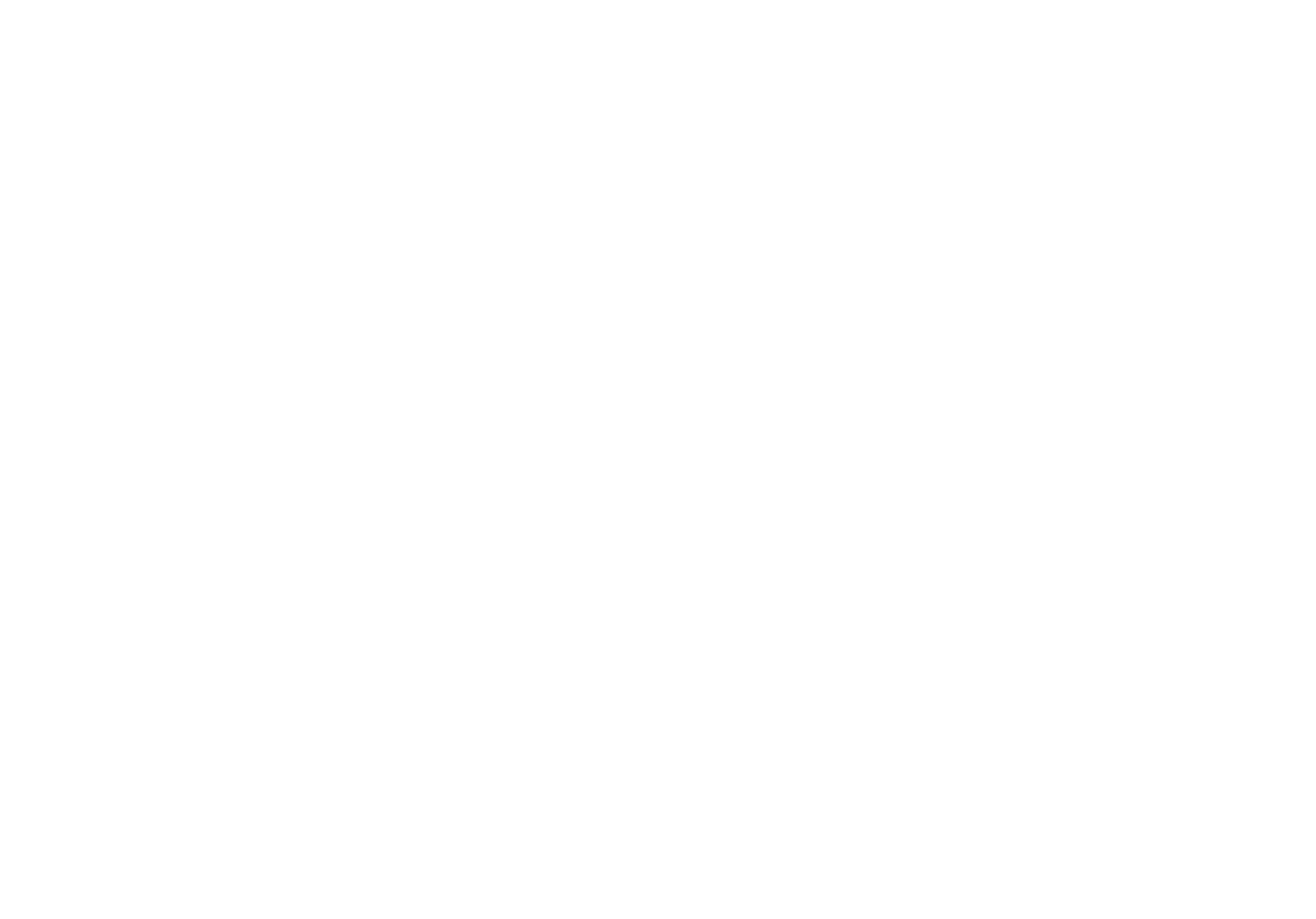 The Purrfect Brew