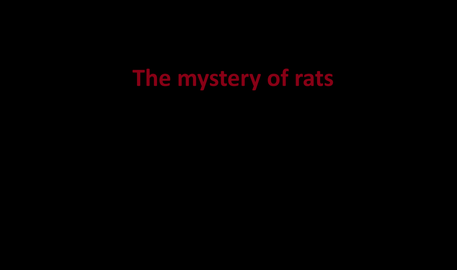 The mystery of rats