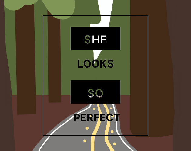 Cover image for She Looks So Perfect