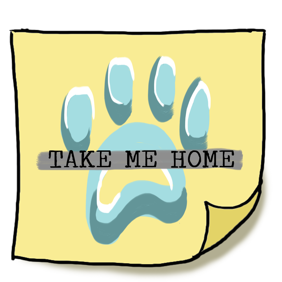Take me home