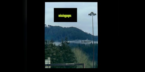 Cover image for missingpages