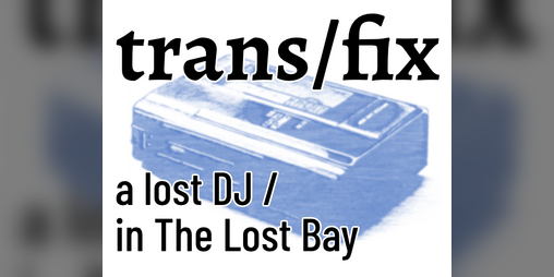 Cover image for trans/fix