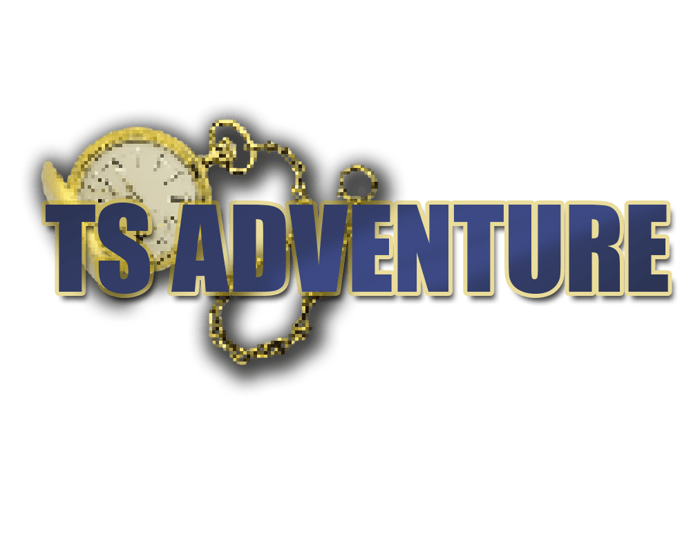 Cover image for TS Adventure
