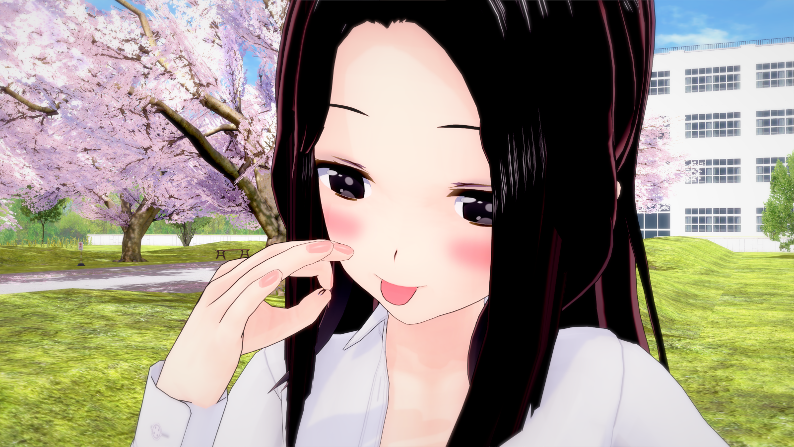 Cover image for SHA