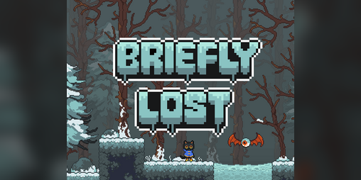 Cover image for Briefly Lost