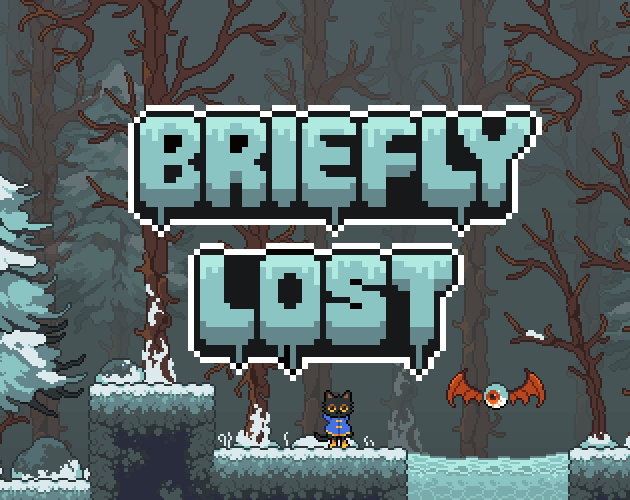 Cover image for Briefly Lost