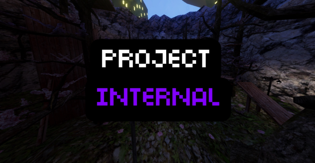 Project Internal