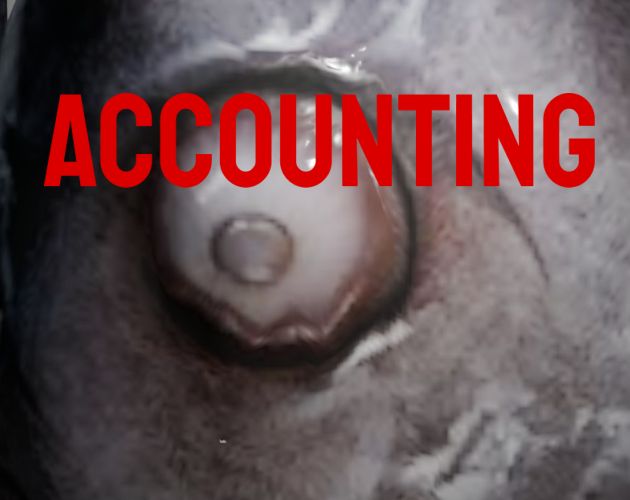 Cover image for Accounting