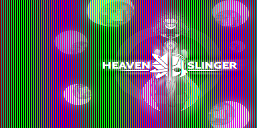 Cover image for Heavenslinger