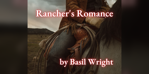 Cover image for Rancher's Romance