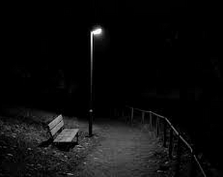 The Follower