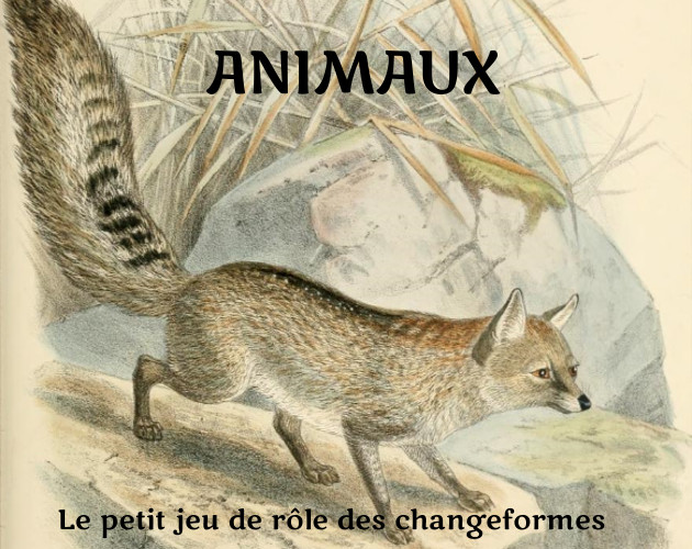 Cover image for Animaux