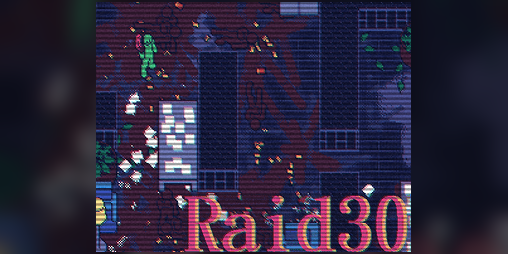 Cover image for Raid30