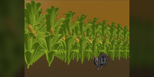 Cover image for turkey likes corn