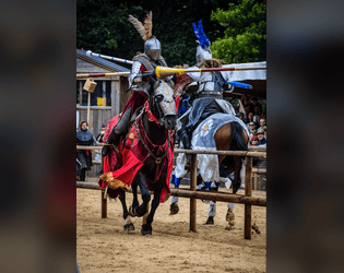 Joust  