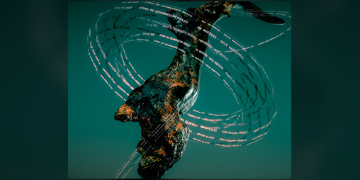 Cover image for Aphiddd