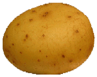 Batatão Clicker