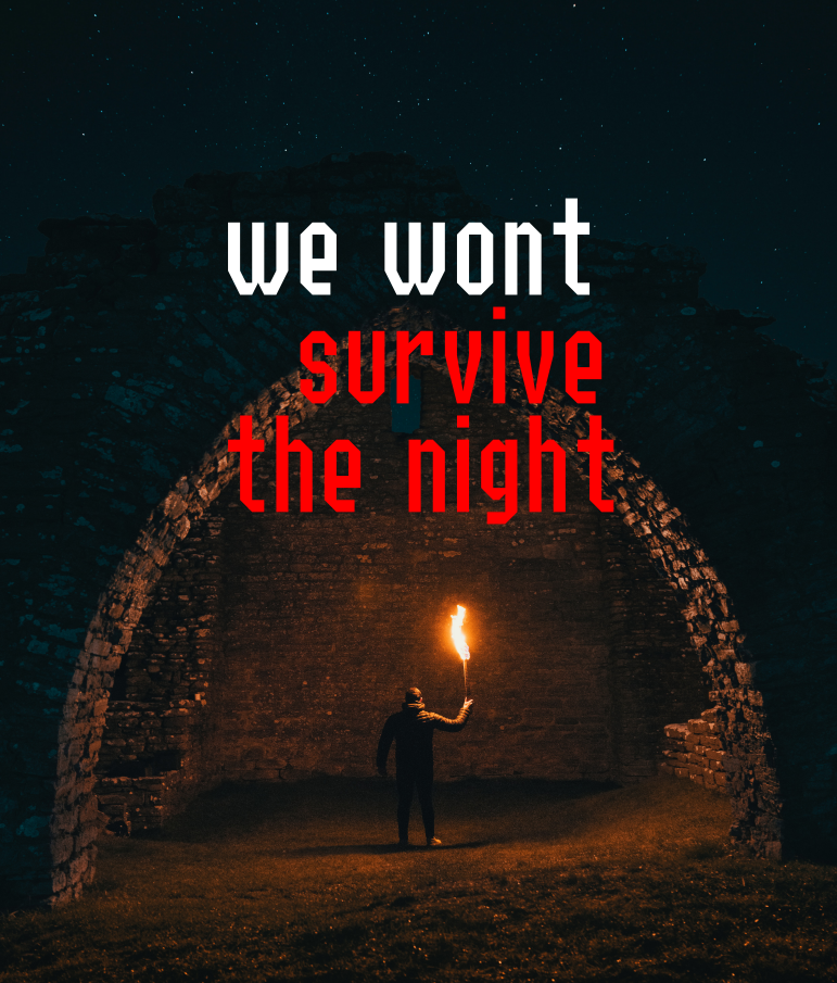 Cover image for We Wont Survive The Night