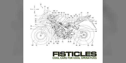 Cover image for FISTICLES