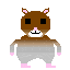 Hamster Survival