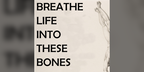 Cover image for BREATHE LIFE INTO THESE BONES