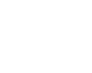 Shit'N Dogs (Fixed/Prototype)