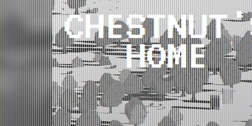 Cover image for Chestnut's Home
