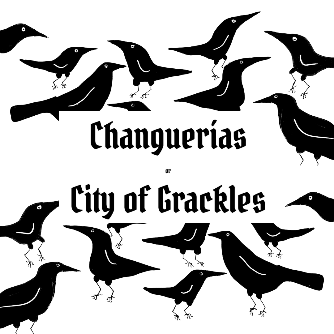 Changuer as or city of grackles by krischannels