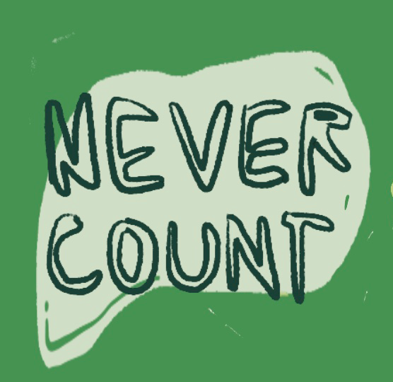 Cover image for I NEVER COUNT