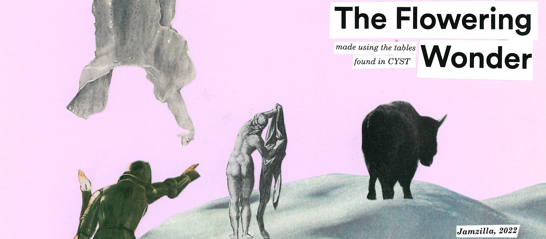 Cover image for The Flowering Wonder