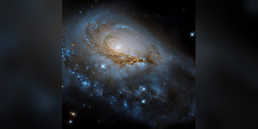 Cover image for OddSpace