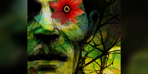 Cover image for Conkers