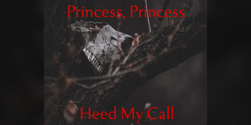 Cover image for Princess, Princess, Heed My Call