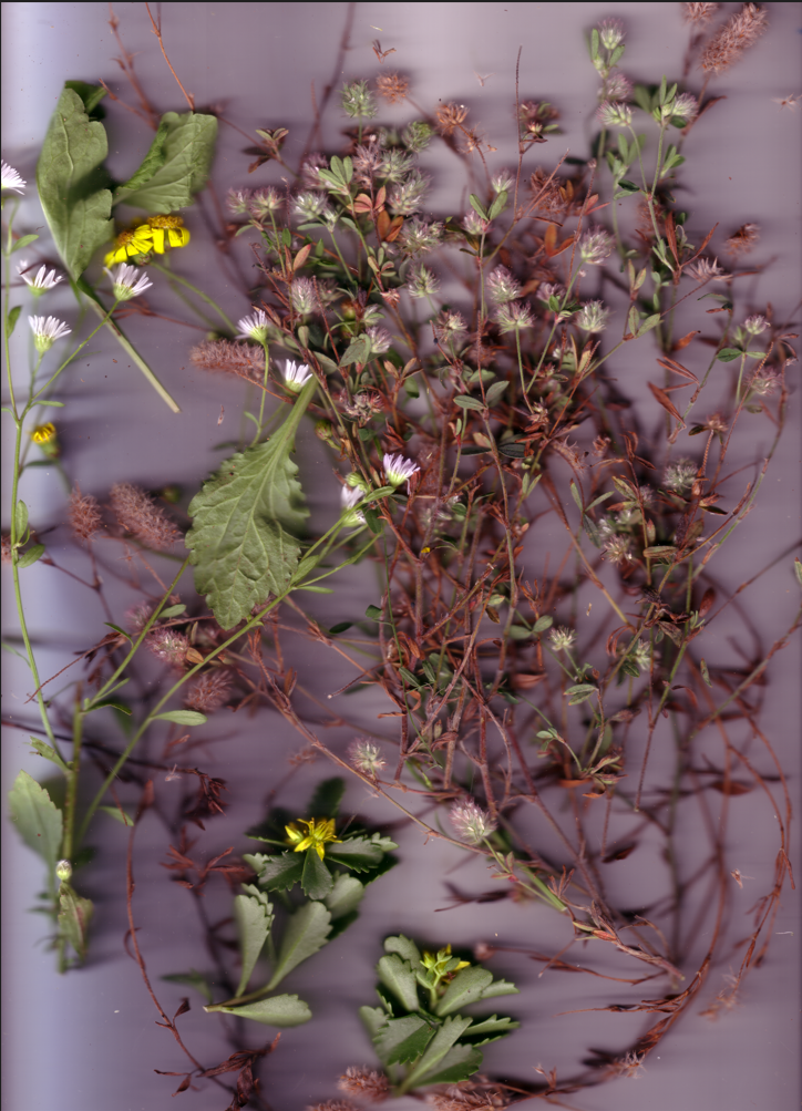Cover image for Vergiss Berlin