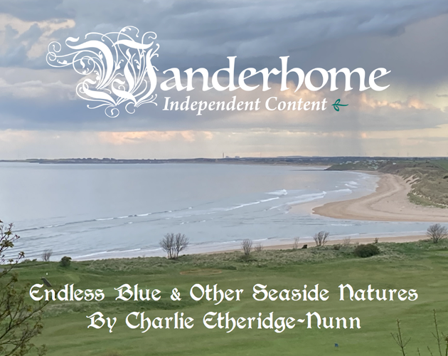 Cover image for Endless Blue and Other Seaside Natures