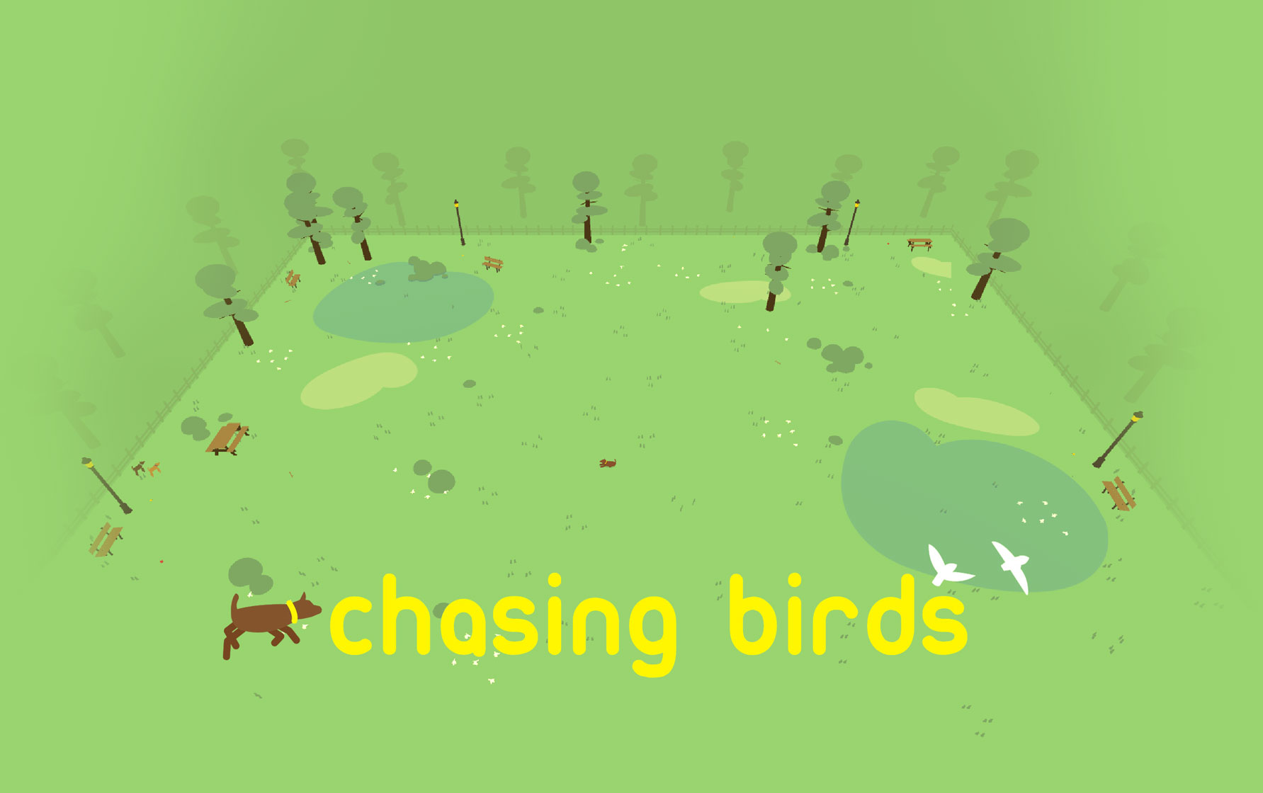 chasing birds