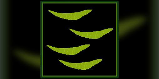 Cover image for ItGrows