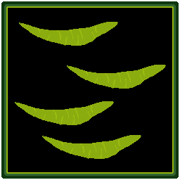 Cover image for ItGrows